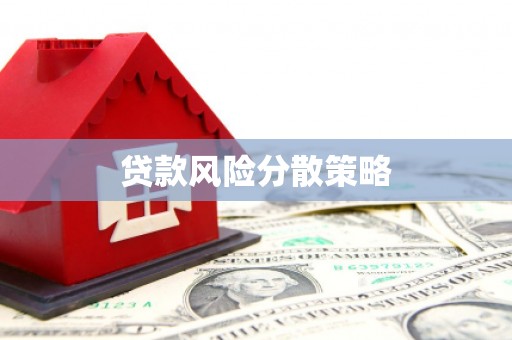 崇明贷款风险分散策略