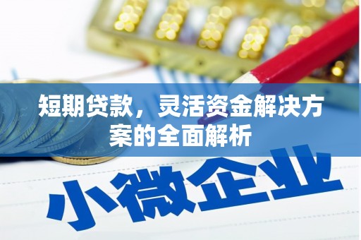 崇明短期贷款，灵活资金解决方案的全面解析