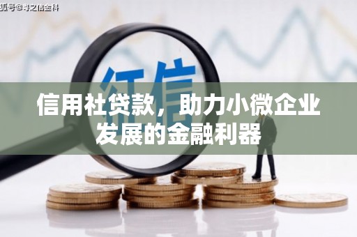 崇明信用社贷款，助力小微企业发展的金融利器