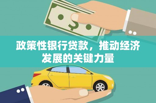 崇明政策性银行贷款，推动经济发展的关键力量