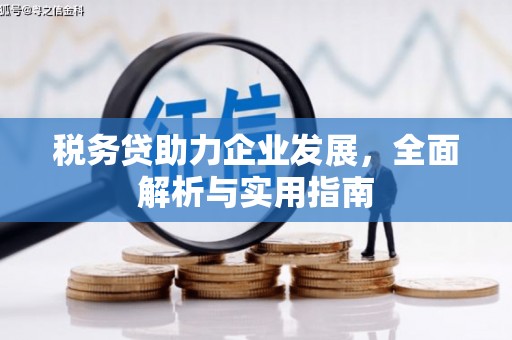 崇明税务贷助力企业发展，全面解析与实用指南