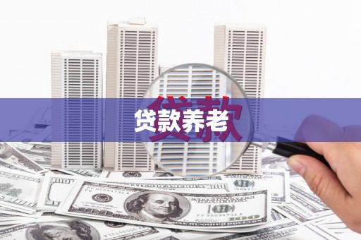 崇明贷款养老