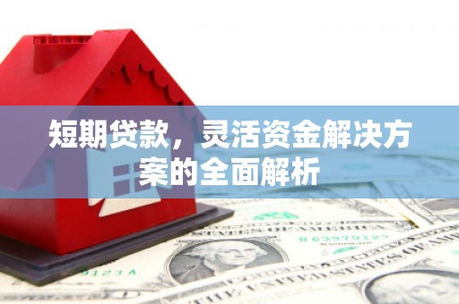崇明短期贷款，灵活资金解决方案的全面解析