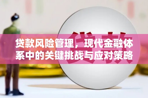崇明贷款风险管理，现代金融体系中的关键挑战与应对策略
