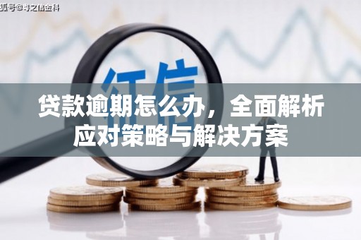 崇明贷款逾期怎么办，全面解析应对策略与解决方案