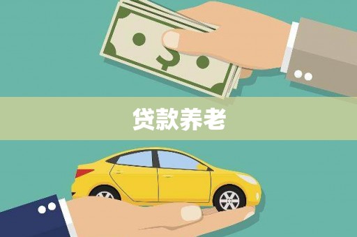 崇明贷款养老