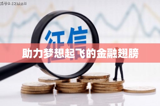 崇明助力梦想起飞的金融翅膀