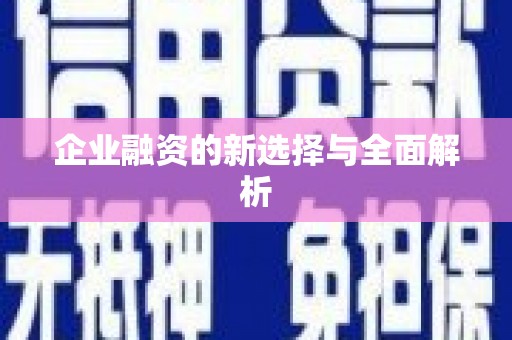 崇明企业融资的新选择与全面解析