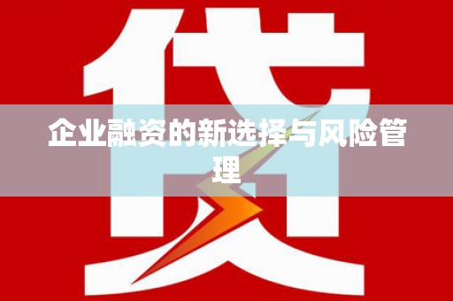 崇明企业融资的新选择与风险管理
