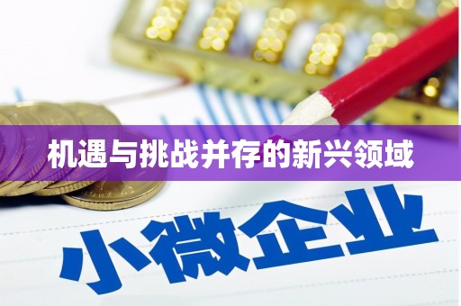 崇明机遇与挑战并存的新兴领域