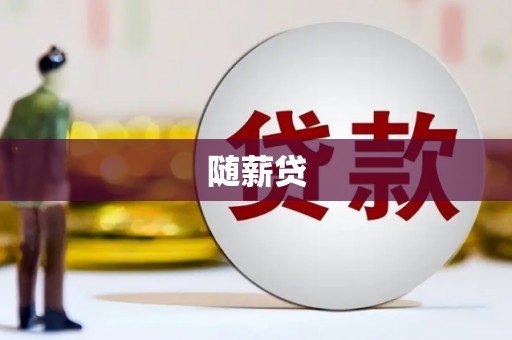 崇明随薪贷