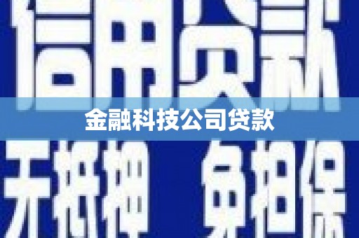 崇明金融科技公司贷款