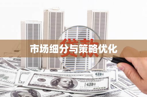 崇明市场细分与策略优化