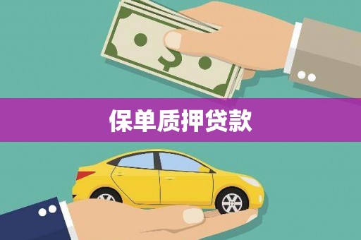 崇明保单质押贷款