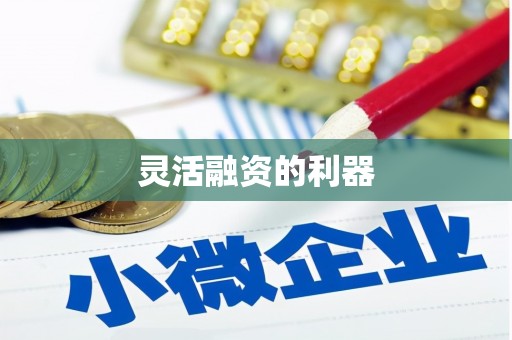 崇明灵活融资的利器