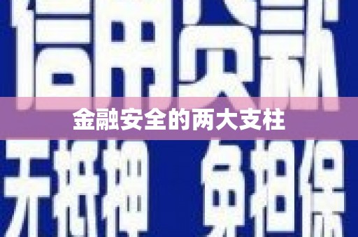 崇明金融安全的两大支柱