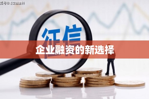 崇明企业融资的新选择