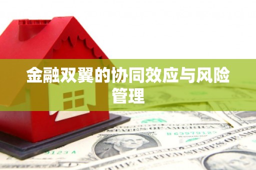崇明金融双翼的协同效应与风险管理