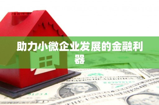 崇明助力小微企业发展的金融利器