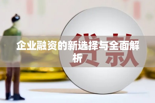 崇明企业融资的新选择与全面解析