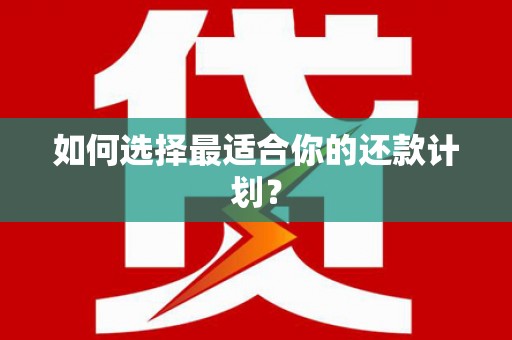 崇明如何选择最适合你的还款计划？