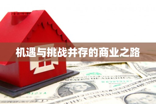 崇明机遇与挑战并存的商业之路