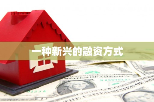 崇明一种新兴的融资方式