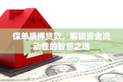 崇明保单质押贷款，解锁资金流动性的智慧之选