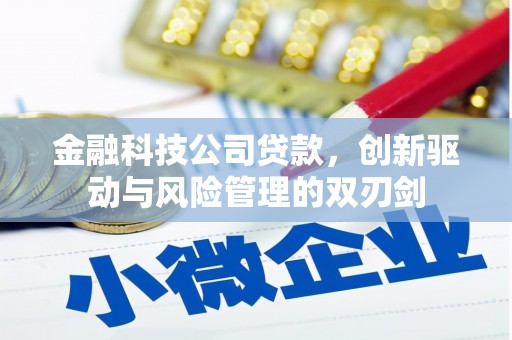 崇明金融科技公司贷款，创新驱动与风险管理的双刃剑