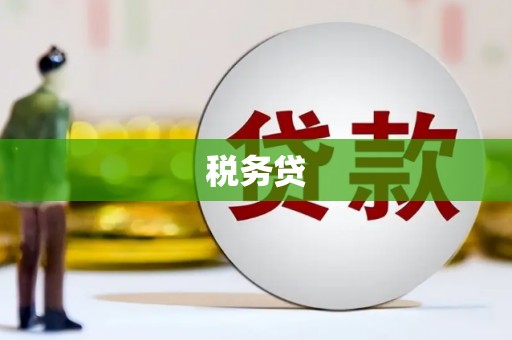 崇明税务贷